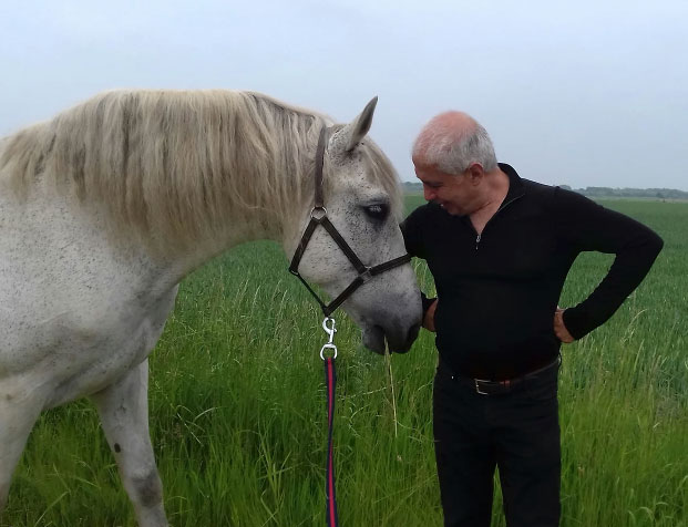 horse-picture horse-picture